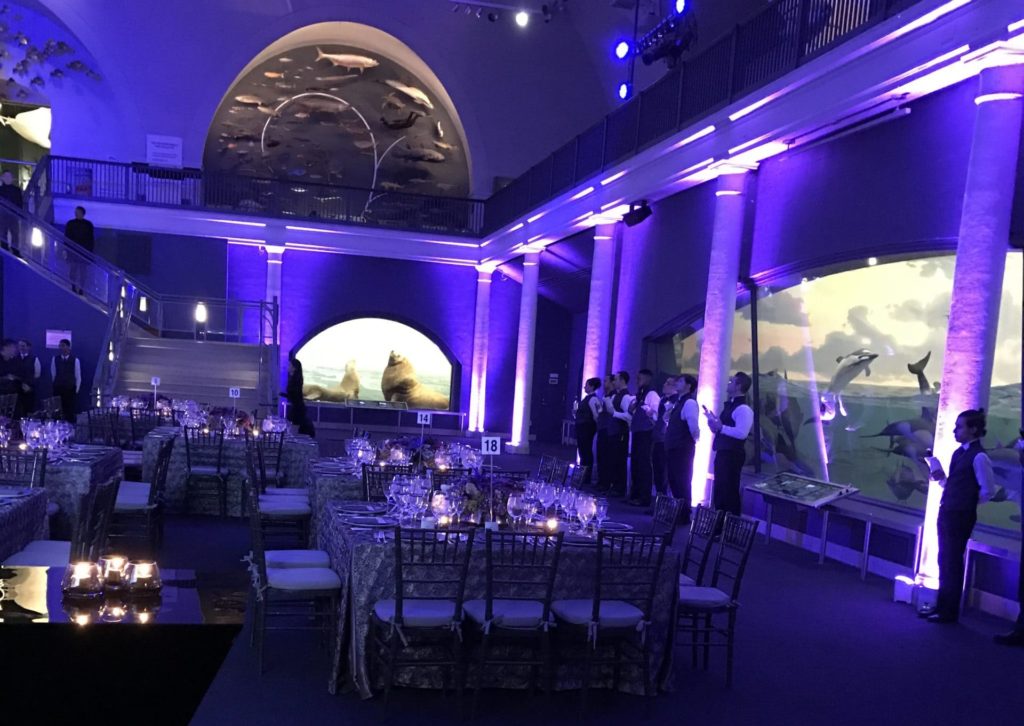 Bespoke Event at the NY Museum of Natural History 2