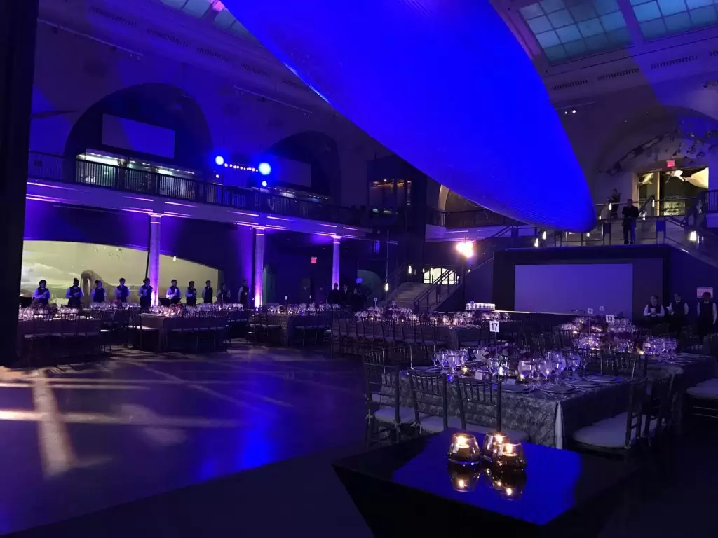 Bespoke Event at the NY Museum of Natural History