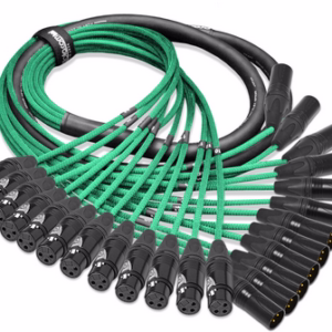 12 Channel XLR - XLR Snake 10'