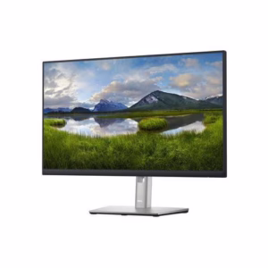 24" Dell Monitor D22422H