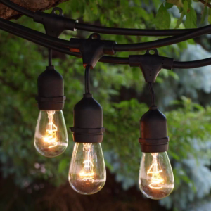Bistro Lights