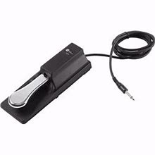 Livewire LWS250 Sustain Pedal
